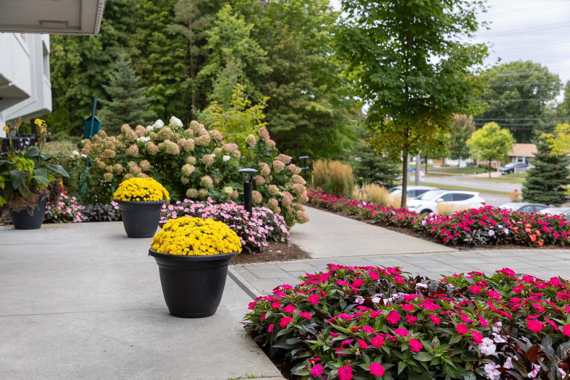 Residential house entrance with plants and flowers . Apartment building