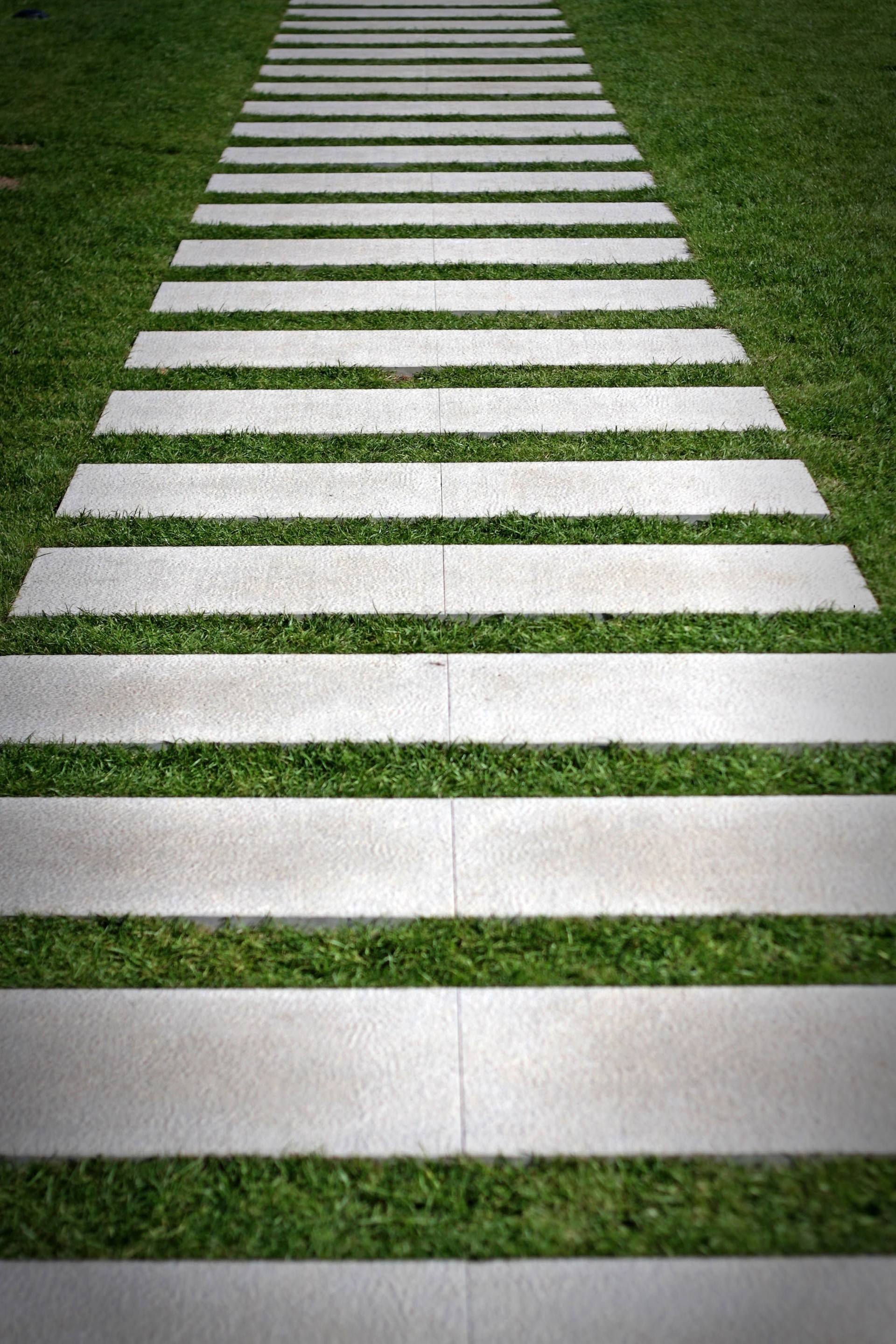 Modern Stone Pathway with Grass