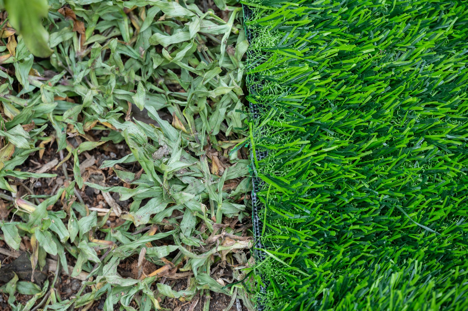 Different between real grass and  artificial turf in the garden.